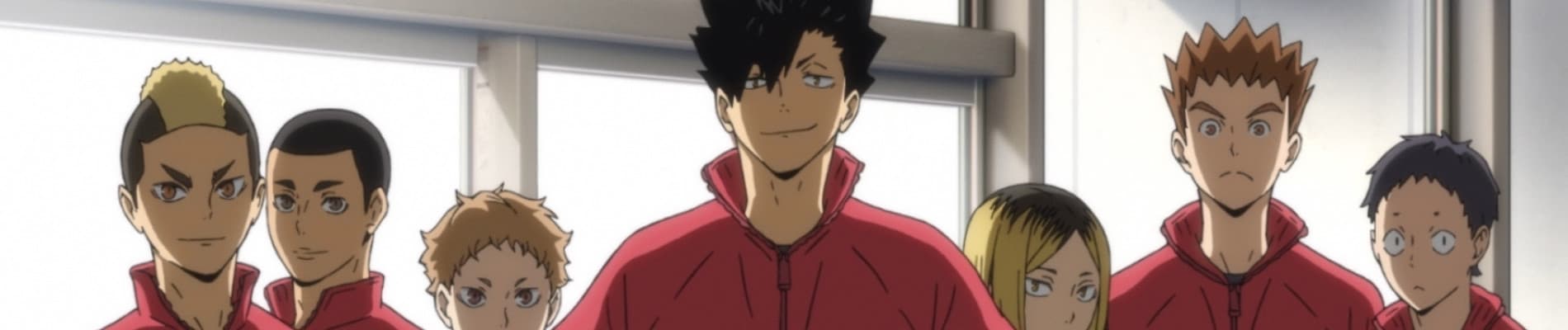 HAIKYU!! LAND VS. AIR backdrop