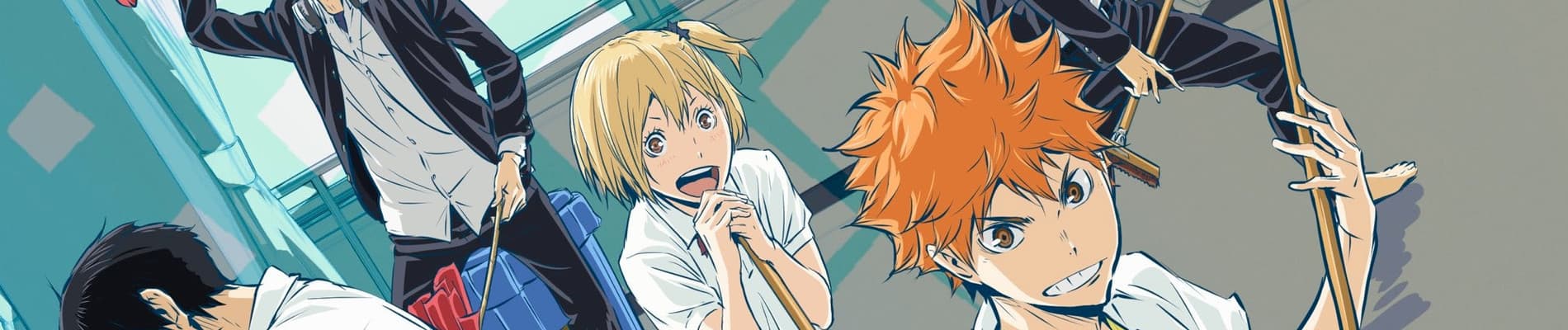 HAIKYU!! 2nd Season backdrop